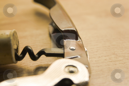 To use this stock image in your creative project, please select the size you need over to the right and click the "Add to Cart" button.
Your downloaded image will come with the Cutcaster watermark removed so don’t worry about the watermark you see on this page. Corkscrew stock photo, Corkscrew with a cork by Fredrik Elfdahl