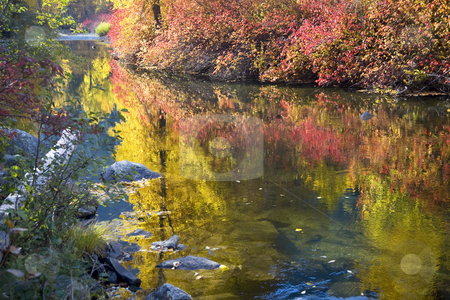 To use this stock image in your creative project, please select the size you need over to the right and click the "Add to Cart" button.
Your downloaded image will come with the Cutcaster watermark removed so don’t worry about the watermark you see on this page. Deep Fall Colors Wenatchee River Stevens Pass Leavenworth Washin stock photo, Deep Fall Colors Wenatchee River Stevens Pass Leavenworth Washington by William Perry