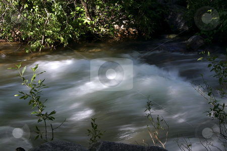 To use this stock image in your creative project, please select the size you need over to the right and click the "Add to Cart" button.
Your downloaded image will come with the Cutcaster watermark removed so don’t worry about the watermark you see on this page. River stock photo, Flowing water in River by Mehmet Dilsiz