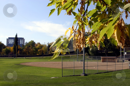 To use this stock image in your creative project, please select the size you need over to the right and click the "Add to Cart" button.
Your downloaded image will come with the Cutcaster watermark removed so don’t worry about the watermark you see on this page. Baseball Field with Leaves in Focus stock photo, Empty Baseball Field with Leaves in Focus by Mehmet Dilsiz
