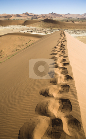 To use this stock image in your creative project, please select the size you need over to the right and click the "Add to Cart" button.
Your downloaded image will come with the Cutcaster watermark removed so don’t worry about the watermark you see on this page. Footprints stock photo, My footprints on a huge dune, Sossusvlei, Namib Desert, Namib-Naukluft National Park, Republic of Namibia, Southern Africa by mdphot