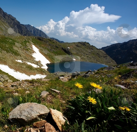 To use this stock image in your creative project, please select the size you need over to the right and click the "Add to Cart" button.
Your downloaded image will come with the Cutcaster watermark removed so don’t worry about the watermark you see on this page. Mountain lake and big yellow flowers detail stock photo, Mountain lake and big yellow flowers detail in summer day by Juraj Kovacik