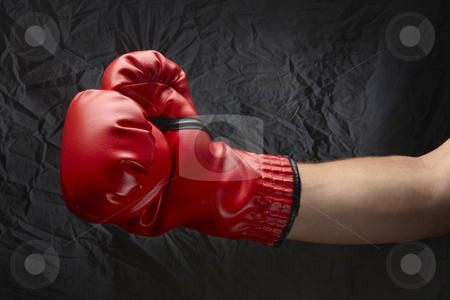 To use this stock image in your creative project, please select the size you need over to the right and click the "Add to Cart" button.
Your downloaded image will come with the Cutcaster watermark removed so don’t worry about the watermark you see on this page. Bring it! stock photo, Boxer wearing red boxing glove about to land a punch by James Barber