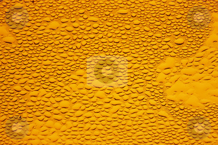 To use this stock image in your creative project, please select the size you need over to the right and click the "Add to Cart" button.
Your downloaded image will come with the Cutcaster watermark removed so don’t worry about the watermark you see on this page. Amber condensation stock photo, Close-up shot of glass surface with condensation by James Barber
