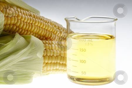 To use this stock image in your creative project, please select the size you need over to the right and click the "Add to Cart" button.
Your downloaded image will come with the Cutcaster watermark removed so don’t worry about the watermark you see on this page. Bio Fuel still life stock photo, Beaker of of ethanol and ears of corn shot on lightbox by James Barber