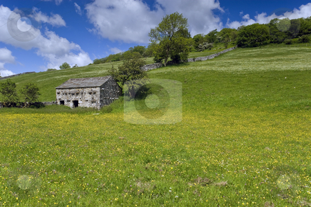 To use this stock image in your creative project, please select the size you need over to the right and click the "Add to Cart" button.
Your downloaded image will come with the Cutcaster watermark removed so don’t worry about the watermark you see on this page. Langstrothdale stock photo, Langstrothdale in Yorkshire Dales North Yorkshire England by Stephen Meese