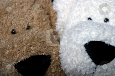 To use this stock image in your creative project, please select the size you need over to the right and click the "Add to Cart" button.
Your downloaded image will come with the Cutcaster watermark removed so don’t worry about the watermark you see on this page. Puppy face stock photo, Close up of two stuff dog faces, a brown and a white by Yann Poirier