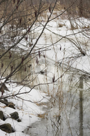 To use this stock image in your creative project, please select the size you need over to the right and click the "Add to Cart" button.
Your downloaded image will come with the Cutcaster watermark removed so don’t worry about the watermark you see on this page. Thawing forest stock photo, Thawing forest with small river by Yann Poirier