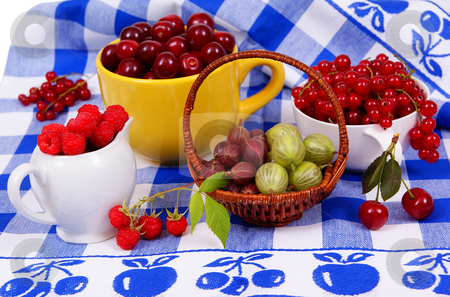 To use this stock image in your creative project, please select the size you need over to the right and click the "Add to Cart" button.
Your downloaded image will come with the Cutcaster watermark removed so don’t worry about the watermark you see on this page. Fruit stock photo, Four types of mature fruit as background by Jolanta Dabrowska