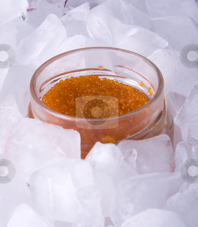 To use this stock image in your creative project, please select the size you need over to the right and click the "Add to Cart" button.
Your downloaded image will come with the Cutcaster watermark removed so don’t worry about the watermark you see on this page. Red caviar on ice stock photo, Red caviar in a glass jar surrounded by ice cubes by Daniel Kafer