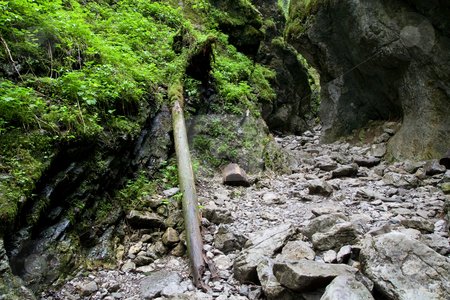 To use this stock image in your creative project, please select the size you need over to the right and click the "Add to Cart" button.
Your downloaded image will come with the Cutcaster watermark removed so don’t worry about the watermark you see on this page. Cracow Gorge in the Tatra Mountains stock photo, Cracow Gorge near Koscieliska Valley in Tatra Mountains, Poland. by Rognar