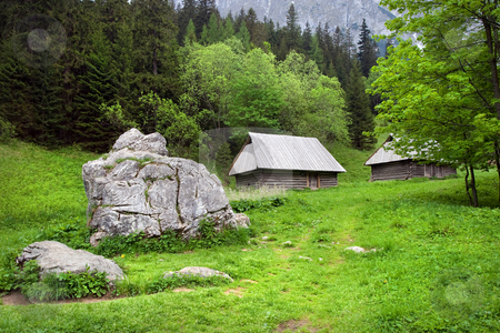 To use this stock image in your creative project, please select the size you need over to the right and click the "Add to Cart" button.
Your downloaded image will come with the Cutcaster watermark removed so don’t worry about the watermark you see on this page. Beautiful Valley in the Tatra Mountains stock photo, Strazynska valley in the Tatra Mountains, Poland. by Rognar