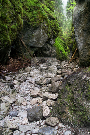 To use this stock image in your creative project, please select the size you need over to the right and click the "Add to Cart" button.
Your downloaded image will come with the Cutcaster watermark removed so don’t worry about the watermark you see on this page. Cracow Gorge in the Tatra Mountains stock photo, Cracow Gorge near Koscieliska Valley in Tatra Mountains, Poland. by Rognar