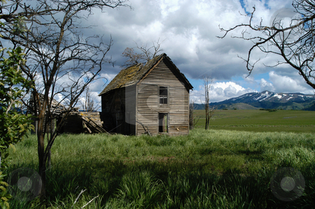 To use this stock image in your creative project, please select the size you need over to the right and click the "Add to Cart" button.
Your downloaded image will come with the Cutcaster watermark removed so don’t worry about the watermark you see on this page. The Old Ireland House stock photo, Idaho, Elmore County, Prairie, The Old Ireland House by David Ryan