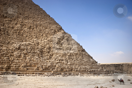 To use this stock image in your creative project, please select the size you need over to the right and click the "Add to Cart" button.
Your downloaded image will come with the Cutcaster watermark removed so don’t worry about the watermark you see on this page. The Pyramid of Khafrae stock photo, The Pyramid of Khafrae is the second largest of the Ancient Egyptian Pyramids of Giza and the tomb of the fourth-dynasty pharaoh Khafre (Chephren in Greek), The pyramid has a base length of 215.25 m (706 ft) and originally rises to a height of 143.5 m (471 ft). The Pyramid is made of Limestone blocks (weighing more than 2 tons each). The slope of the pyramid rises at an 53 by Amr Hassanein