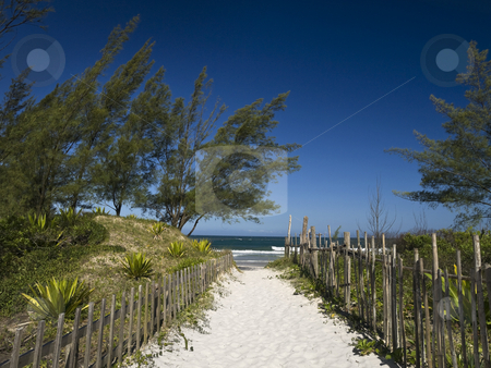 To use this stock image in your creative project, please select the size you need over to the right and click the "Add to Cart" button.
Your downloaded image will come with the Cutcaster watermark removed so don’t worry about the watermark you see on this page. Welcome to the beach stock photo, A sand path to the beach. Great cloudless blue sky. by Ignacio Gonzalez Prado