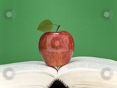 To use this stock image in your creative project, please select the size you need over to the right and click the "Add to Cart" button.
Your downloaded image will come with the Cutcaster watermark removed so don’t worry about the watermark you see on this page. Healthy learning stock photo, A red apple over an open book. Blank chalkboard on the background. by Ignacio Gonzalez Prado
