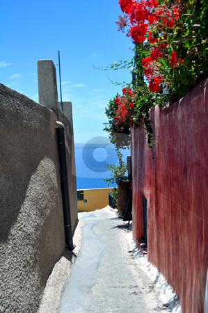 To use this stock image in your creative project, please select the size you need over to the right and click the "Add to Cart" button.
Your downloaded image will come with the Cutcaster watermark removed so don’t worry about the watermark you see on this page. Santorini Island stock photo, Beautiful island of Santorini, Greece by Fernando Barozza