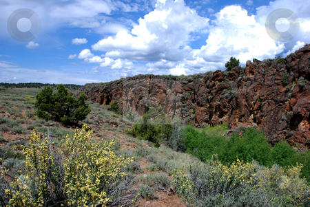 To use this stock image in your creative project, please select the size you need over to the right and click the "Add to Cart" button.
Your downloaded image will come with the Cutcaster watermark removed so don’t worry about the watermark you see on this page. View from Mud Flat Road stock photo, USA, Idaho, Owyhee County, Owyhee Uplands Scenic Bypass, View of Mud Flat Road by David Ryan