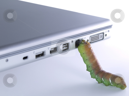 To use this stock image in your creative project, please select the size you need over to the right and click the "Add to Cart" button.
Your downloaded image will come with the Cutcaster watermark removed so don’t worry about the watermark you see on this page. Computer bug stock photo, A caterpillar trying to get into a computer through its internet plug. by Ignacio Gonzalez Prado