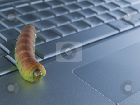 To use this stock image in your creative project, please select the size you need over to the right and click the "Add to Cart" button.
Your downloaded image will come with the Cutcaster watermark removed so don’t worry about the watermark you see on this page. Computer bug stock photo, Macro shot of a caterpillar over a computer keyboard. by Ignacio Gonzalez Prado