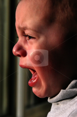To use this stock image in your creative project, please select the size you need over to the right and click the "Add to Cart" button.
Your downloaded image will come with the Cutcaster watermark removed so don’t worry about the watermark you see on this page. Crying Boy stock photo, Close up on a Baby Boy Crying by Mehmet Dilsiz