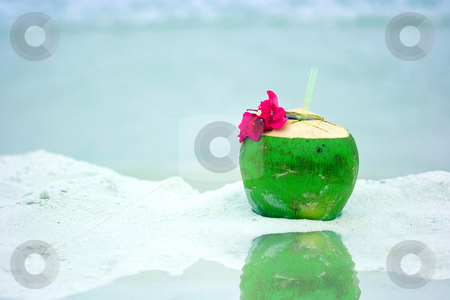 To use this stock image in your creative project, please select the size you need over to the right and click the "Add to Cart" button.
Your downloaded image will come with the Cutcaster watermark removed so don’t worry about the watermark you see on this page. Coconut on the beach stock photo, Coconut on the sandy beach in Thailand by Dmitry Rostovtsev