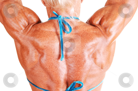 To use this stock image in your creative project, please select the size you need over to the right and click the "Add to Cart" button.
Your downloaded image will come with the Cutcaster watermark removed so don’t worry about the watermark you see on this page. Tha back of a muscular woman. stock photo, An bodybuilding woman shooing her muscular upper back and arms
shooing the fantastic muscles and the nice tan, for white background. by Horst Petzold
