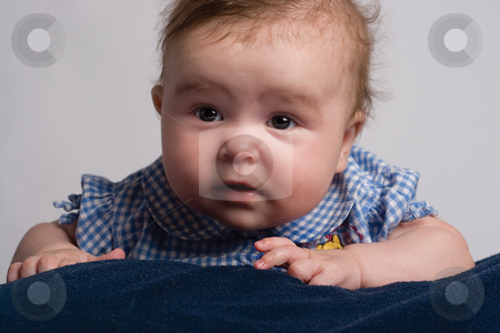 To use this stock image in your creative project, please select the size you need over to the right and click the "Add to Cart" button.
Your downloaded image will come with the Cutcaster watermark removed so don’t worry about the watermark you see on this page. Five months baby stock photo, Portrait of a five months olf baby girl by Yann Poirier