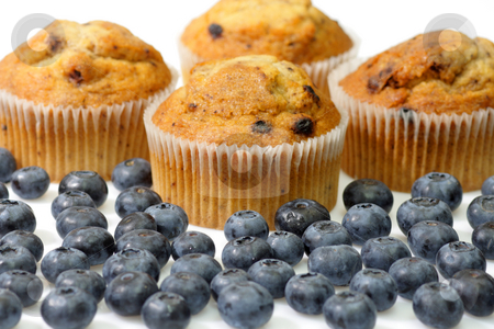 To use this stock image in your creative project, please select the size you need over to the right and click the "Add to Cart" button.
Your downloaded image will come with the Cutcaster watermark removed so don’t worry about the watermark you see on this page. Blueberry muffins stock photo, Muffins with blueberries on bright background by Birgit Reitz-Hofmann