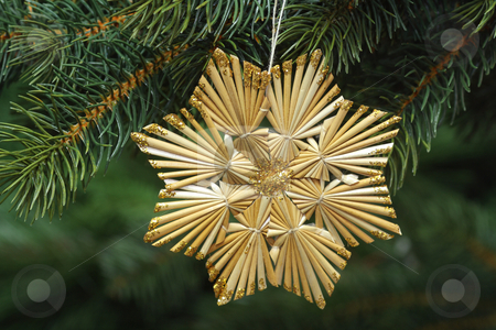 To use this stock image in your creative project, please select the size you need over to the right and click the "Add to Cart" button.
Your downloaded image will come with the Cutcaster watermark removed so don’t worry about the watermark you see on this page. Straw star stock photo, Decorative straw star on green background by Birgit Reitz-Hofmann