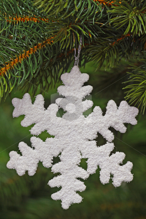 To use this stock image in your creative project, please select the size you need over to the right and click the "Add to Cart" button.
Your downloaded image will come with the Cutcaster watermark removed so don’t worry about the watermark you see on this page. Chrismas star stock photo, Decorative chrismas star isolated on green background by Birgit Reitz-Hofmann