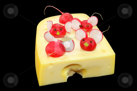 To use this stock image in your creative project, please select the size you need over to the right and click the "Add to Cart" button.
Your downloaded image will come with the Cutcaster watermark removed so don’t worry about the watermark you see on this page. Garnished cheese stock photo, Fresh garnished radish with piece of cheese by Birgit Reitz-Hofmann
