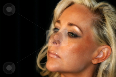 To use this stock image in your creative project, please select the size you need over to the right and click the "Add to Cart" button.
Your downloaded image will come with the Cutcaster watermark removed so don’t worry about the watermark you see on this page. Portrait Young Woman stock photo, Portrait of a beautiful young woman with blond hair by Henrik Lehnerer