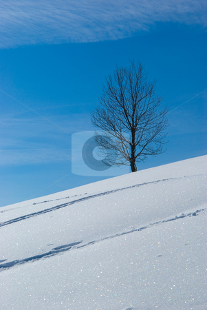 To use this stock image in your creative project, please select the size you need over to the right and click the "Add to Cart" button.
Your downloaded image will come with the Cutcaster watermark removed so don’t worry about the watermark you see on this page. Winterlandschaft - Winter landscape stock photo, Winterlandschaft - Winter landscape by Wolfgang Heidasch