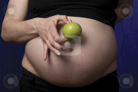 To use this stock image in your creative project, please select the size you need over to the right and click the "Add to Cart" button.
Your downloaded image will come with the Cutcaster watermark removed so don’t worry about the watermark you see on this page. Pregnant belly with apple stock photo, Close up of a pregnant belly with the women holding an apple to the belly by Yann Poirier