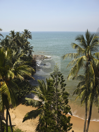 To use this stock image in your creative project, please select the size you need over to the right and click the "Add to Cart" button.
Your downloaded image will come with the Cutcaster watermark removed so don’t worry about the watermark you see on this page. A tropical beach in sri lanka stock photo, A tropical beach in sri lanka with palm trees under a blue sky by Mike Smith