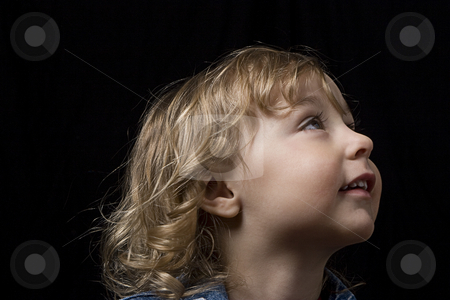 To use this stock image in your creative project, please select the size you need over to the right and click the "Add to Cart" button.
Your downloaded image will come with the Cutcaster watermark removed so don’t worry about the watermark you see on this page. Toddler looking up stock photo, Portrait of a two year old boy wearing a jean jacket looking up to the right by Yann Poirier