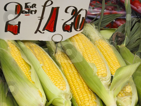 To use this stock image in your creative project, please select the size you need over to the right and click the "Add to Cart" button.
Your downloaded image will come with the Cutcaster watermark removed so don’t worry about the watermark you see on this page. Corn on the cob for sale stock photo, A market stall with corn on the cob for sale by Mike Smith