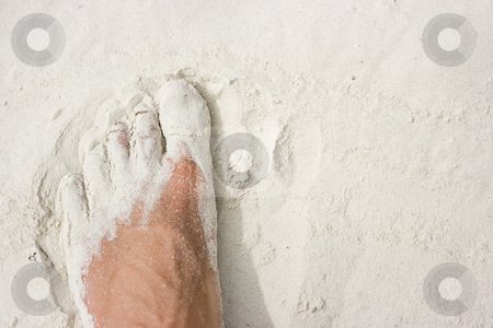 To use this stock image in your creative project, please select the size you need over to the right and click the "Add to Cart" button.
Your downloaded image will come with the Cutcaster watermark removed so don’t worry about the watermark you see on this page. Foot on white sand stock photo, Male foot standing on white sand beach by Dmitry Rostovtsev