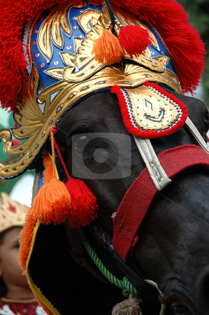 To use this stock image in your creative project, please select the size you need over to the right and click the "Add to Cart" button.
Your downloaded image will come with the Cutcaster watermark removed so don’t worry about the watermark you see on this page. Renggong horse stock photo, Renggong horse-one of traditional ceremony heritage in indonesia by Bayu Harsa