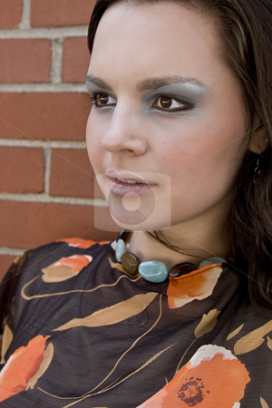 To use this stock image in your creative project, please select the size you need over to the right and click the "Add to Cart" button.
Your downloaded image will come with the Cutcaster watermark removed so don’t worry about the watermark you see on this page. Young women with style stock photo, Young women with style against brick wall by Yann Poirier