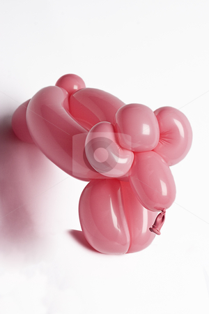 To use this stock image in your creative project, please select the size you need over to the right and click the "Add to Cart" button.
Your downloaded image will come with the Cutcaster watermark removed so don’t worry about the watermark you see on this page. Pink balloon sheep stock photo, Pink balloon sheep in the middle of a jump by Yann Poirier