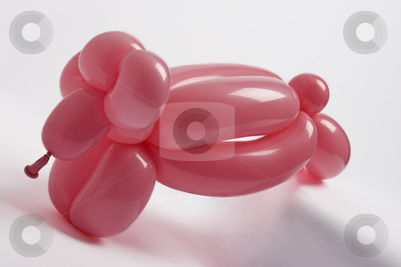 To use this stock image in your creative project, please select the size you need over to the right and click the "Add to Cart" button.
Your downloaded image will come with the Cutcaster watermark removed so don’t worry about the watermark you see on this page. Pink balloon sheep stock photo, Pink balloon sheep in the middle of a jump by Yann Poirier