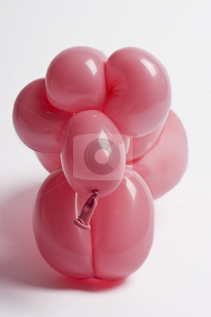 To use this stock image in your creative project, please select the size you need over to the right and click the "Add to Cart" button.
Your downloaded image will come with the Cutcaster watermark removed so don’t worry about the watermark you see on this page. Pink balloon sheep stock photo, Close up of a pink balloon sheep by Yann Poirier