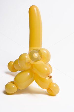 To use this stock image in your creative project, please select the size you need over to the right and click the "Add to Cart" button.
Your downloaded image will come with the Cutcaster watermark removed so don’t worry about the watermark you see on this page. Yellow balloon dog stock photo, Yellow balloon dog just walking around by Yann Poirier
