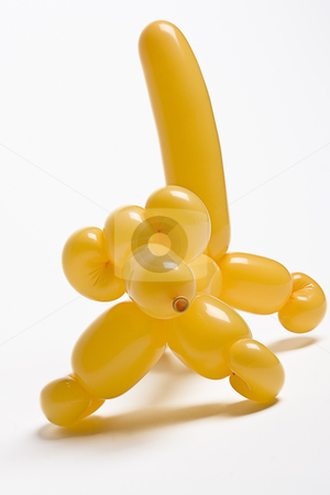 To use this stock image in your creative project, please select the size you need over to the right and click the "Add to Cart" button.
Your downloaded image will come with the Cutcaster watermark removed so don’t worry about the watermark you see on this page. Yellow balloon dog stock photo, Yellow balloon dog just walking around by Yann Poirier