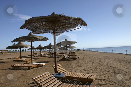 To use this stock image in your creative project, please select the size you need over to the right and click the "Add to Cart" button.
Your downloaded image will come with the Cutcaster watermark removed so don’t worry about the watermark you see on this page. Beach in Dahab Egypt stock photo, Beautiful Beach with mountains on one side and the ocean on the other by Sharron Schiefelbein