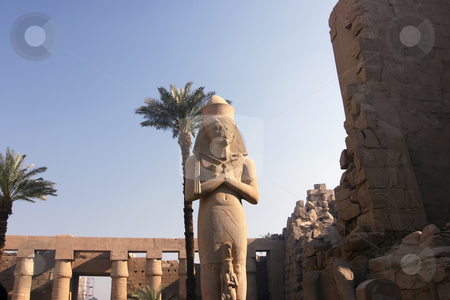 To use this stock image in your creative project, please select the size you need over to the right and click the "Add to Cart" button.
Your downloaded image will come with the Cutcaster watermark removed so don’t worry about the watermark you see on this page. Colossus of Ramses II stock photo, The Colossus of Ramses II in Karnak Temple Egypt by Sharron Schiefelbein