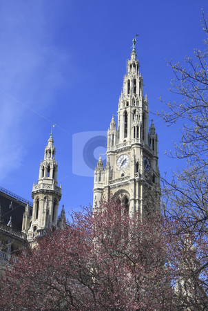 To use this stock image in your creative project, please select the size you need over to the right and click the "Add to Cart" button.
Your downloaded image will come with the Cutcaster watermark removed so don’t worry about the watermark you see on this page. 360 Viennas city hall Neues Rathaus stock photo, Neo Gothic town hall with its spires houses Vienna's city council by Sharron Schiefelbein